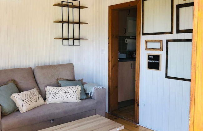 Hamlet's Friends - Foto 33