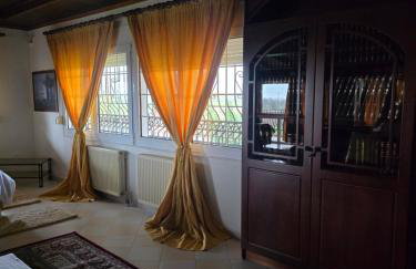 Αρχοντικό Παπανικολάου - Foto 16