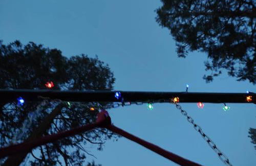 O'Brien's Oasis - Foto 23