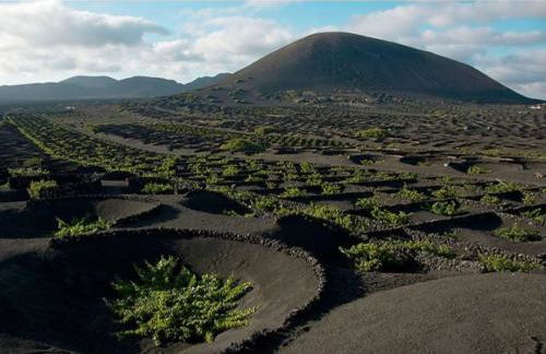 ALOELUX VILLA ! - Private Villa with Jacuzzi, cinema ,massage ,wonderful view, art desing villa - Photo 22