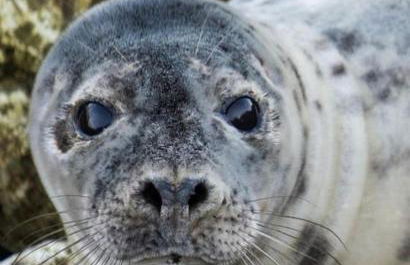 Seaview Retreat - South Shields - Foto 37