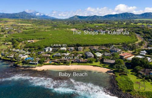 Prince Kuhio 110 - Foto 47