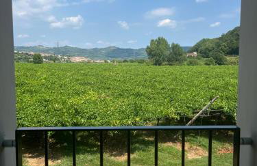 Agriturismo Corte Cea - Foto 18