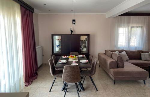 Aristides Guesthouse - Photo 10