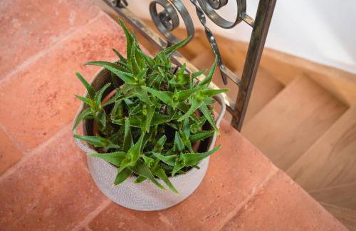 LA TORRE DEL MANGHEN: Agri-alloggio indipendente - Foto 67