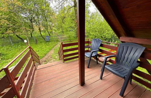 Farma Albert Korzenie - Foto 29