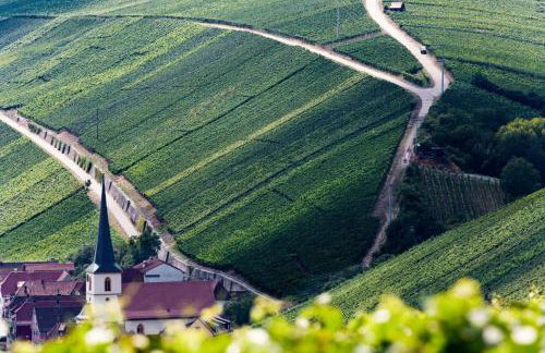 Ferienwohnung ErVino - Foto 23