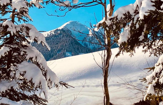 Spacious Apartment in Salzburg near Ski Area - Foto 34