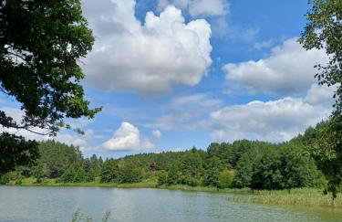 Domek u Bartnika z basenem na Mazurach - Foto 22
