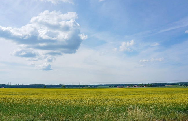 6 Person Holiday Home in Mariestad-by Traum - Foto 7