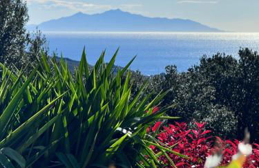 Gîte indépendant dans villa entre mer et maquis - Foto 1