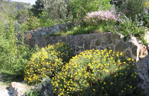 Les Genêts - Foto 33