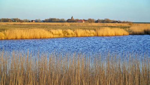 Schäferhof Dircks Fewo 4 - Foto 5