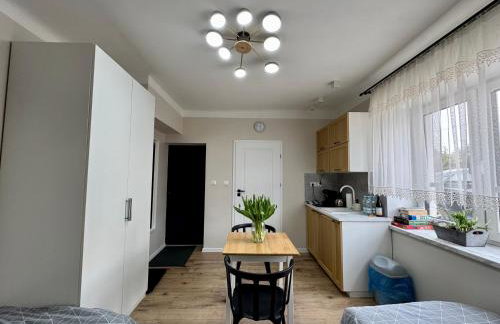 Noclegi, pokoje, kwatery "Nad Bzurą" - Foto 42