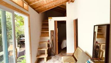 Bienvenidos a la Pequeña Selva de Legnalife - Foto 2