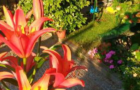 Casas da Fraga - Serra da Estrela - Foto 75