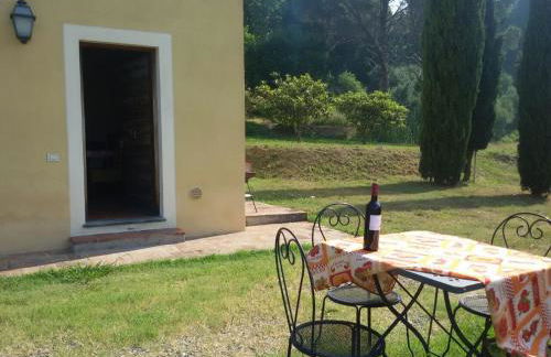 Frantoio di Corsanico - Foto 8