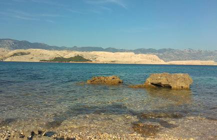 Sunny Bi-Pi Apartment - Photo 9