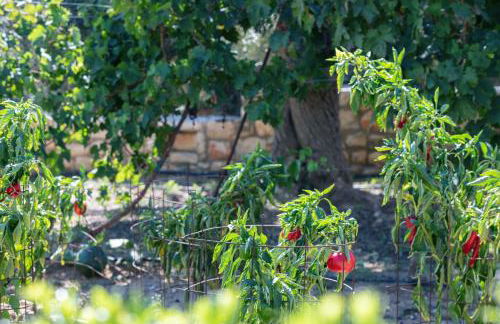 Villa Luni - Foto 40