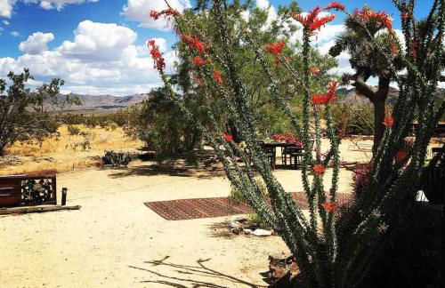 Popular Homestead! Location, Stargaze, Views! - Foto 22