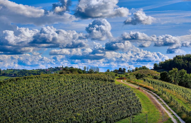 Holiday House Podhamer Marijan - Foto 37