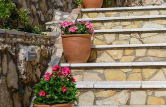 Nikos & Vassilis apartments Kefalonia - Foto 69