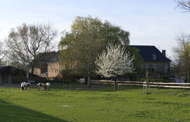 Villa in Mesch With Garden - Photo 72