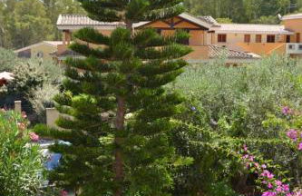 Villetta Sa Speciosa - Foto 13