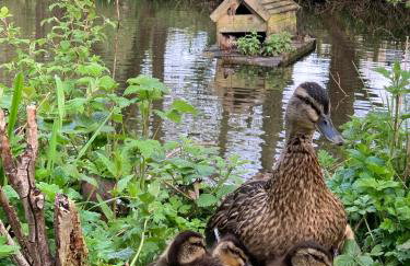 The Old Middle School Addingham - Photo 21