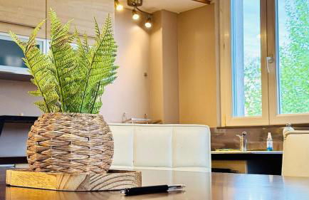 Detente et Confort, proche Gare RER D, CDG, Astérix - Foto 4