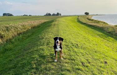 Ferienwohnung Thees - Foto 15