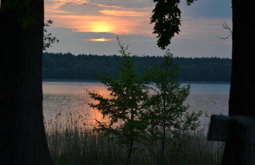 Ferienhaus Seeadler - Photo 14