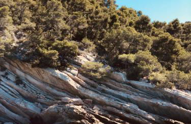 La Maison du Parc I Standing 3 chambres 8 pers Parking Clim Wifi Vélodrome - Foto 50