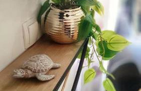 Apartman Lammi Split - Photo 7