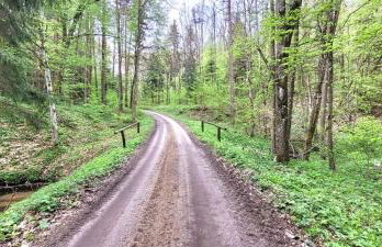 Tymek - domek - Foto 22