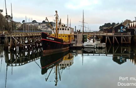 Charmante longère bigoudène - Photo 69