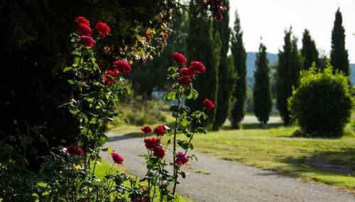 El Corral - Foto 3, Garden