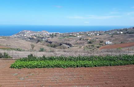 Casa Cueva Villa Aday - Foto 39