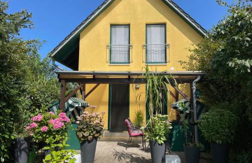 Ferienhaus am Saaler Bodden - Foto 32