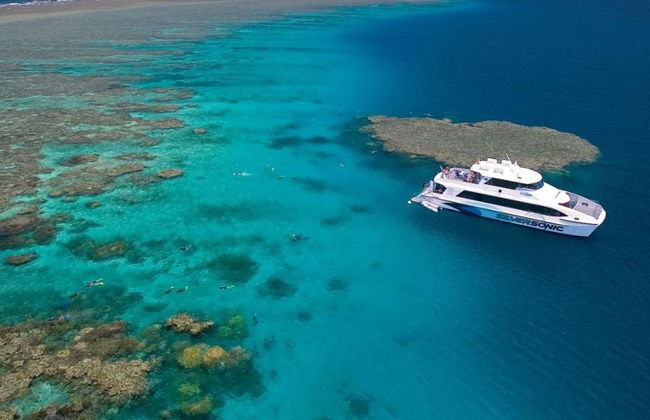 Silversonic Outer Barrier Reef Cruise from Port Douglas - Foto 7