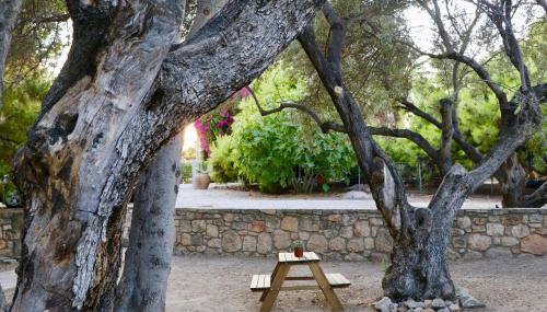 PYRGOS RALLI ESTATE Guesthouse - Foto 4, Garden view