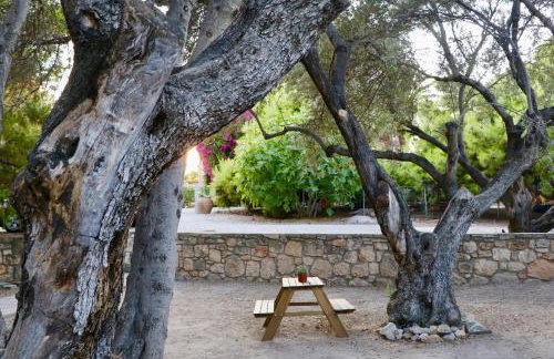 PYRGOS RALLI ESTATE Guesthouse - Foto 4