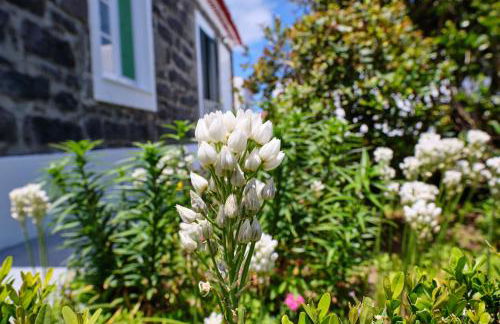 Casa D'Eira - Photo 18