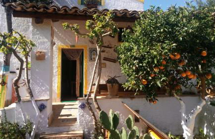 Zagara di Sicilia - Foto 88