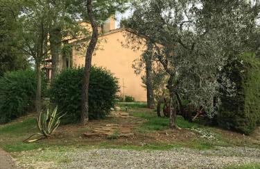 Podere Pini - Foto 8