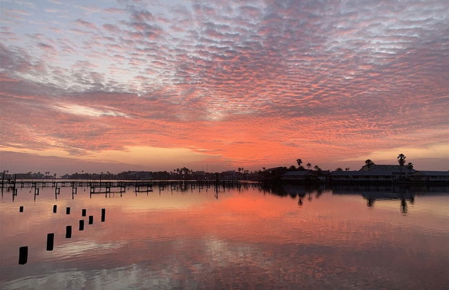 Little Bay Club by Miss Kitty’s - Foto 22