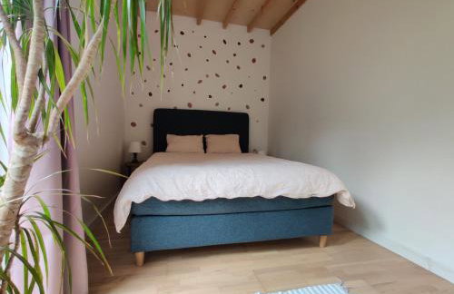 Dom Szumią Wierzby - Foto 22