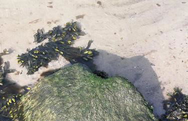 Ferienwohnung Blaue Sonne Devin - Foto 17