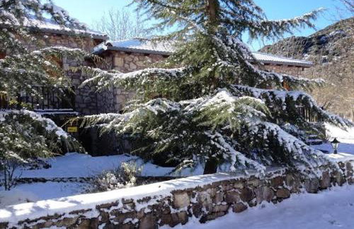 Andrea Sofi Guesthouse - Photo 43