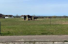 Ferienwohnung Anker6 im Ferien-Resort Rügen - Foto 15